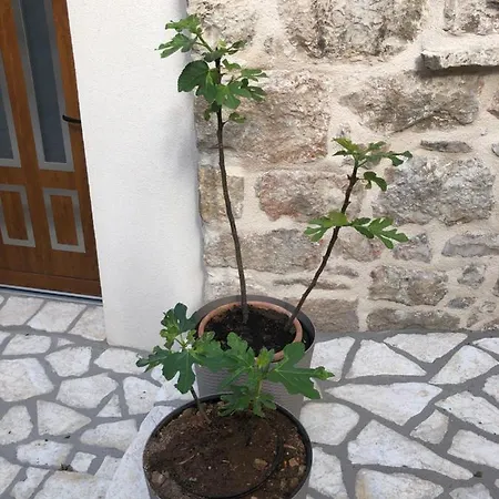 公寓 Old Town Mare